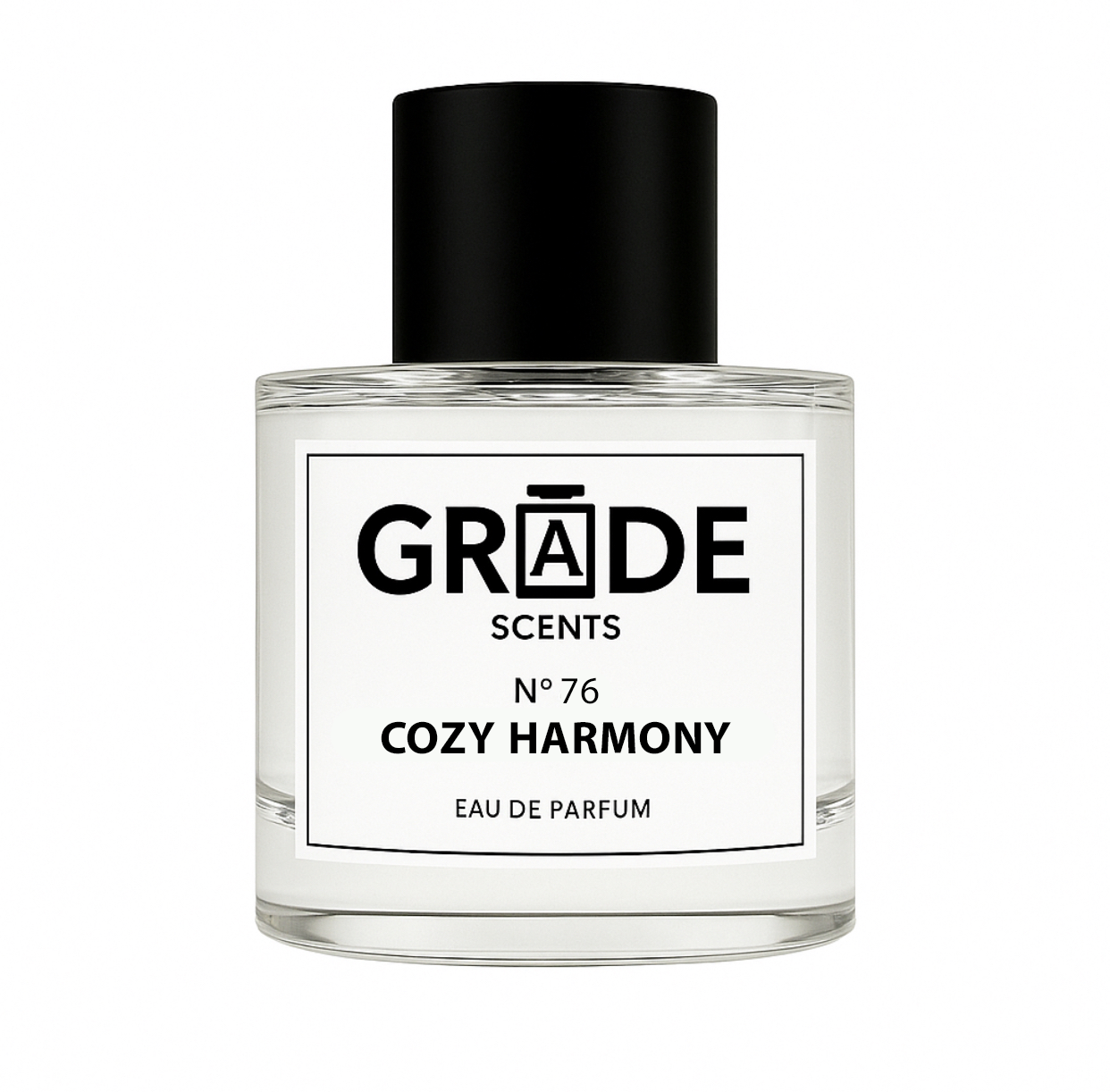 Cozy Harmony